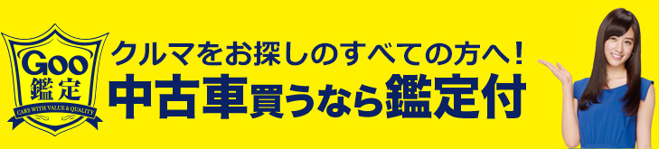 誰も教えてくれないgoo鑑定の巧妙な罠とは 中古車を買う時に知っておきたいこと 埼玉にある中古車屋のプロが教えるミニバン選択基準